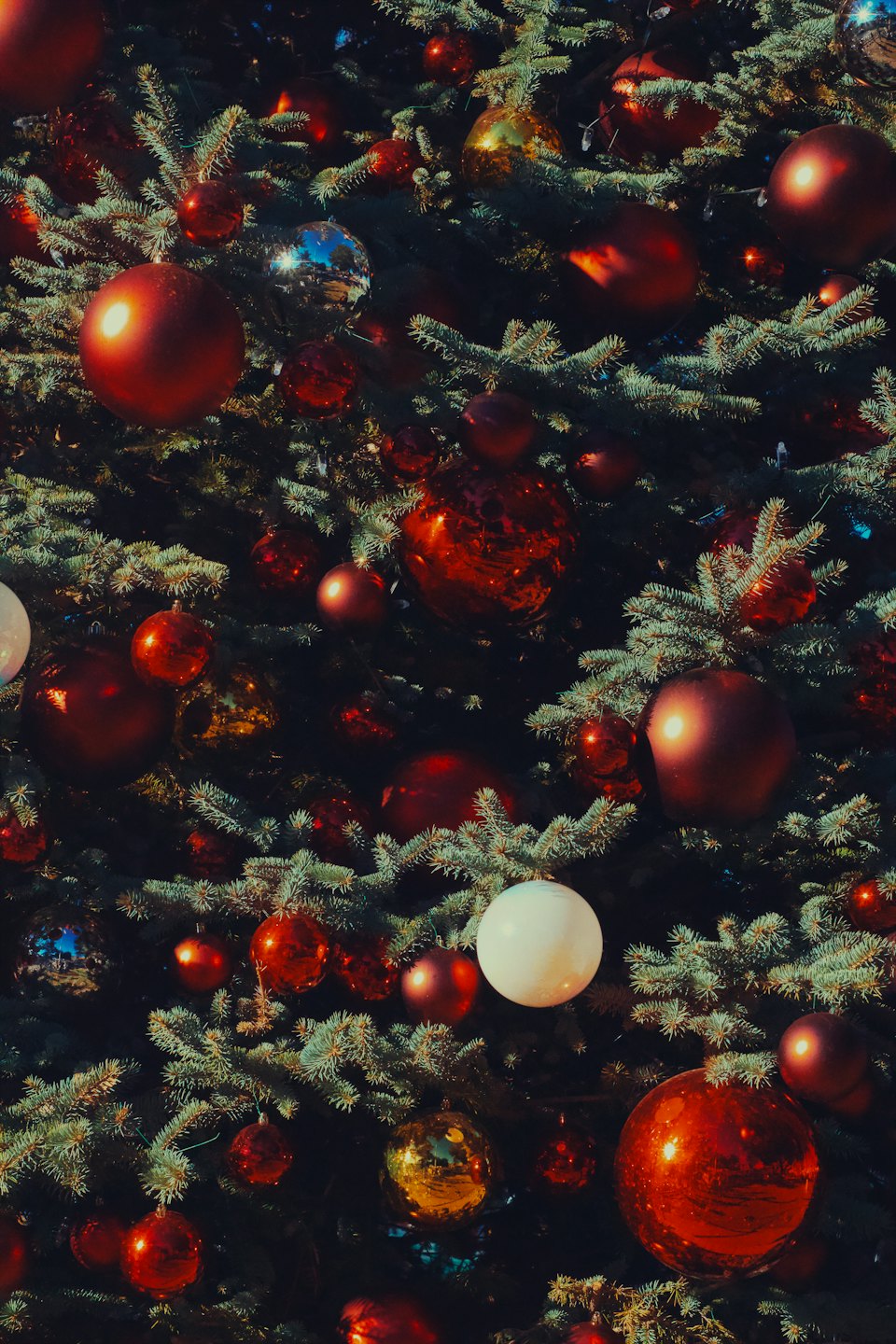 Christmas ornaments of various colors hang on pine tree branches.